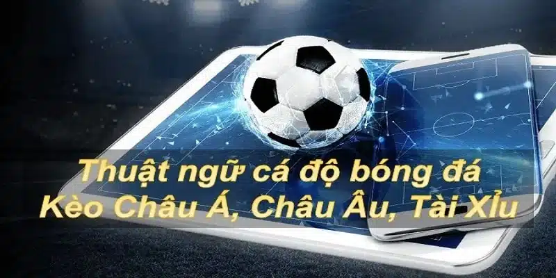 Phân biệt thuật ngữ kèo châu á, kèo châu âu, kèo tài xỉu